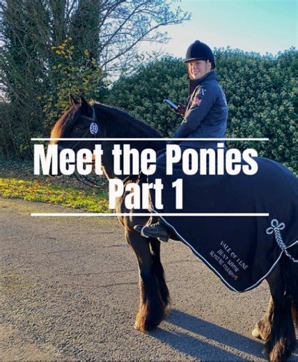 Journey with the Fell Ponies: Showman Lucky's Story