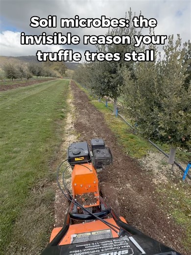 Hanging Rock Truffle Farm on TikTok