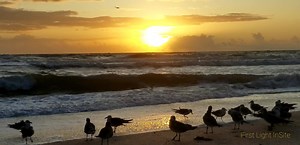 48K views · 1.3K shares | Take a few minutes for yourself? | First Light InSite | Facebook