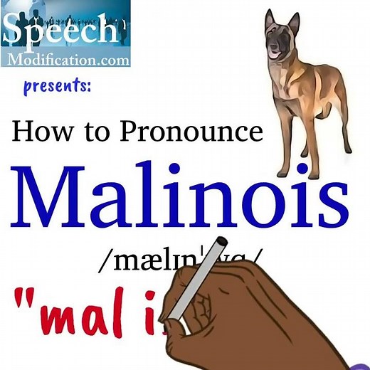 How to Pronounce MALINOIS (Belgian Shepherd Dog Breed Name)