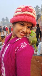 1.4M views · 17K reactions | পাখিটা ঘাটাল থেকে দীঘা ঘুরতে এসেছে  বাসে করে #love #viral #trending #everyone #fbreels #cat #fbpost #dog #funny #catlover | Chanachur wala | Facebook