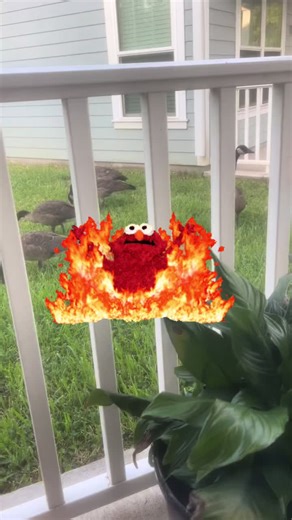 Goddess.michelle_ (@goddessmichelle_)’s videos with original sound - Goddess.michelle_