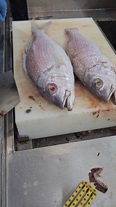 Professional Pink Perch Fish Cutting Skills #fbreelsfypシ゚viralfbreelsfypシ゚viral #reelsvideo #foryou #shorts | SH Fresh & Fish