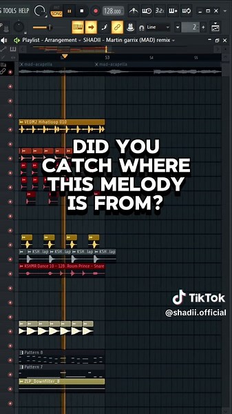 Remixing Martin Garrix's Iconic Melody with The Riddle