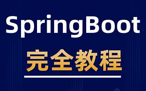 Spring Boot 完全教程【大牛一对一编程】持续更新17611681551