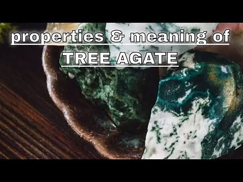 Tree Agate Meaning Benefits and Spiritual Properties
