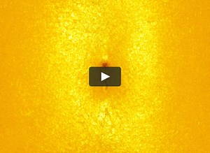 Igor Pose 'LifeTime'. 1999