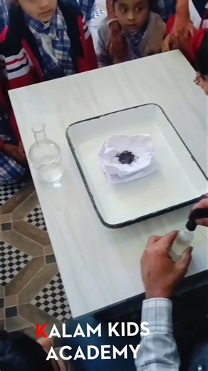 Kalam Kids Academy on Instagram: "#magickingdom"