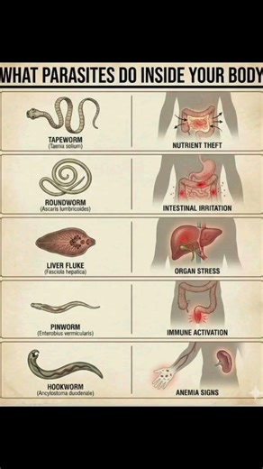 WHAT PARASITE DO INSIDE OUR BODY ✅#shorts#parasite#healthylifestyle #viral