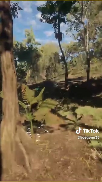 Hunting Greatone Red Deer with a 10mm Glock