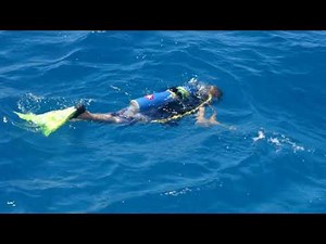 Top 9 Islands in the South Pacific for a Tropical Escape