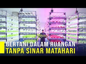 Bertani Dalam Ruangan Tanpa Sinar Matahari, Teknologi Pertanian Masa Depan