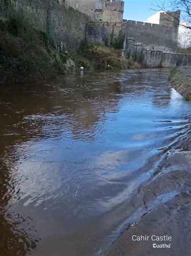 2K views · 76 reactions | Cahir Castle https://www.tuatha.ie/cahir-castle/ | Tuatha | Facebook