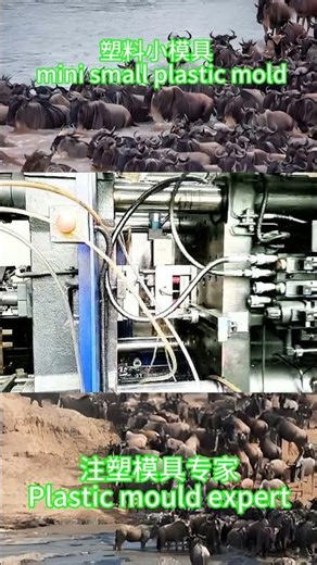 塑料小模具 mini small plastic mold