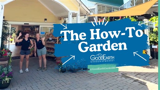 How to Deer Scram (Effectively!)