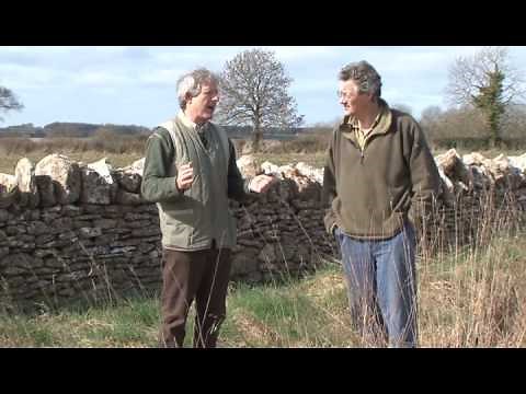 The Return of the Grey Partridge