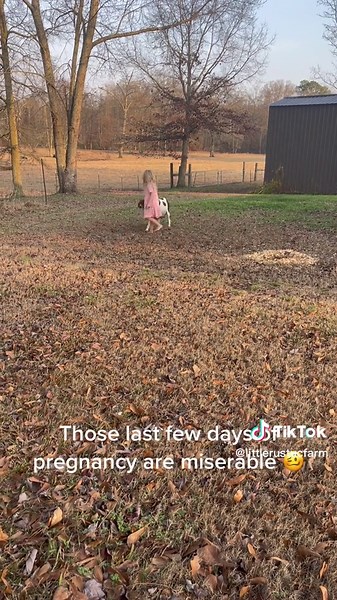 GSP Pregnancy Update: Waiting for Missy to Pop!