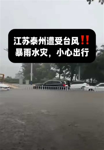 江苏泰州台风后洪水实况｜白海豚来袭、江都多地受灾