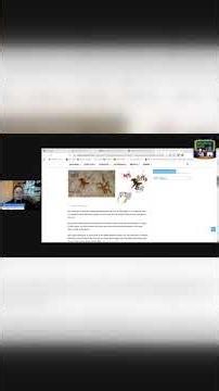 67,800-year-old Indonesian handprints rewrite cave art history