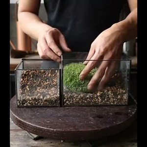 Glass Geometric DIY Terrarium Succulent & Air Plant- Large House Shaped for Indoor Gardening decor