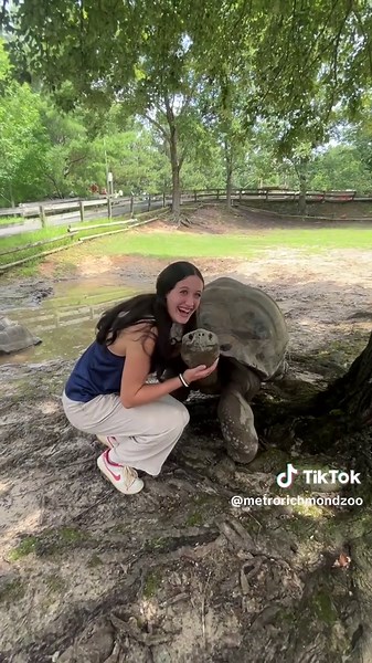 Explore the Galapagos Giant Tortoise Habitat