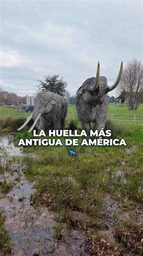Huella humana de 15.600 años en Pilauco, Osorno, Chile