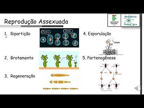 8º ANO - REPRODUÇÃO ASSEXUADA