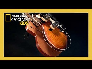 Learn How Electric Guitars Are Made! 🎸😎 | Made in a Day Full Episode | ‪@natgeokids‬