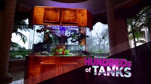 ATM Acrylic Tank Manufacturing on Reels