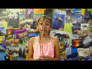 Look Closely at Feathers | Nat Geo Kids Birds Playlist