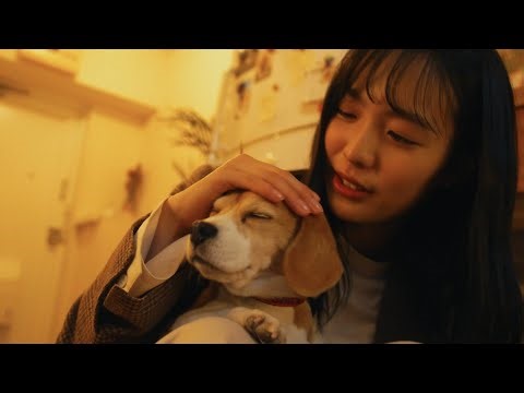 何度でも / DREAMS COME TRUE(ハモネプver covered by ザ・コンティニューズ)