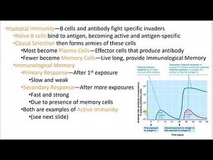 2402 Lecture Chapter 21 Immune 3 PowerPoint Screencast