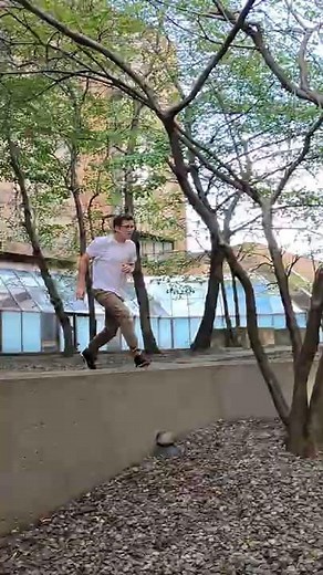 Epic Tree Branch Fail