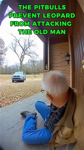 Awesome Prank Videos on Reels