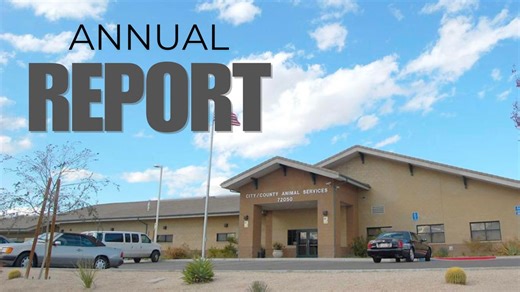 Riverside County Department of Animal Services releases 2024 annual report