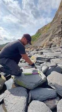 We couldn’t believe what we found! 🤩 A huge shale landslide had exposed countless fossil-rich rocks