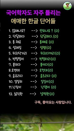 국어학자도 은근히 틀리는 애매한 맞춤법 12가지 #국어학자도 자주 틀린다는 역대급 맞춤법, 당신은 몇 개나 맞출까요? #영어 #멋진글귀 #인생의지혜