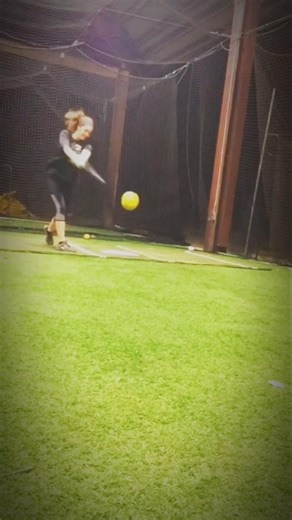 🤣Billi vs Gadi 😹 | Funny Comedy Vide