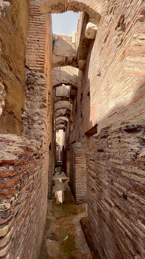 155K views · 3.8K reactions | The Hypogeum - the underground labyrinth below the Colosseum floor, which once held beasts and gladiators awaiting their entrance into the arena. #colosseum #ancientrome #italy #romanempire #colosseo #romanruins #gladiators | Pondering Adventurer | Facebook