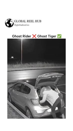 GLOBAL REEL HUB™ on Instagram: "Dm for Credit / Removal The post shares a 15-second security camera clip purporting to show a tiger leaping from a car's open trunk onto its roof in a nighttime parking lot, garnering over 2.5 million views and sparking debates on authenticity. Community replies overwhelmingly label the video as AI-generated, citing anomalies like the car's lack of movement under the tiger's estimated 300-500 pound weight and unnaturally smooth animal animations, consistent with c