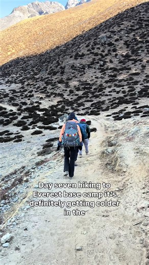 Stacey Walker (@staceywalker37)’s videos with original sound - Stacey Walker