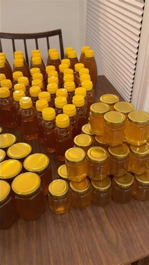 Honey extraction & bottling from my 2025 season bee hive 🐝 🍯 108 lbs (49 kg) from 1 hive!