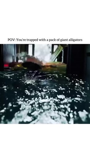 Film Snapz | Movie Clip on Instagram: "📽️ Movie Information 📽️ 🎬 Title: Crawl (2019) ⭐ Rating: approx. 6.1/10 (IMDb) 🎭 Genre: Horror / Action / Thriller ⏱️ Runtime: 1h 27m (87 minutes) 📡 Streaming on: Amazon Prime Video / Netflix (availability may vary) 📜 CBFC: U/A 📚 Storyline: Crawl is a survival horror thriller set during a massive hurricane in Florida. When a young woman returns to her flooded home to rescue her injured father, they find themselves trapped with a group of aggressive, d