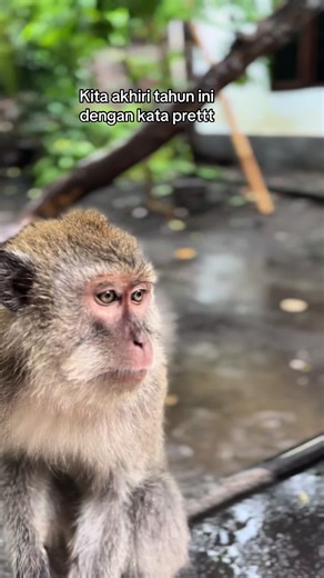 Kita Akhiri Tahun Ini Dengan Kata Prett