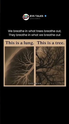 Humans & Trees Are in a Perfect BREATHING LOOP 😳🌳