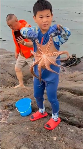 You cannot imprison an octopus || #hookstep