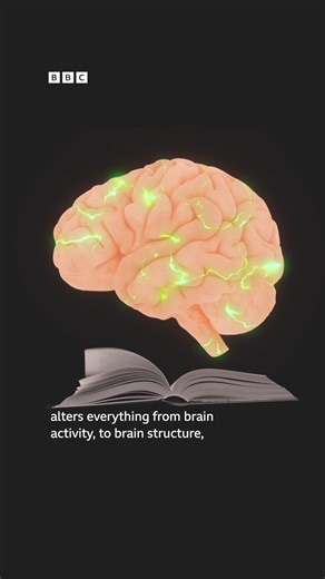 Want to try and read more in 2026? Here's why that would be a great resolution! 📚🧠⁣ ⁣ Researchers have discovered more about how reading, and the languages we read in, affect our brain.⁣ ⁣ "The process of developing a reading brain alters everything from brain activity to brain structure and brain connectivity," says Rebecca Gotlieb, a psychologist and neuroscientist.⁣ ⁣ Reading is a whole-brain process, activating all four lobes of the brain and altering how our brains function.⁣ ⁣ BBC World 