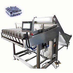 [Hot Item] Blueberry Sorting Machine Litchi Apricot Dates Blueberry Linear Weighing Packaging Machine Line