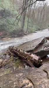 Looking Glass Creek/Falls In The NC Mountains | Appalachian Adventure Company