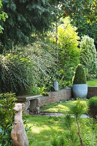 A shady border - the best (and easiest) part of your garden?